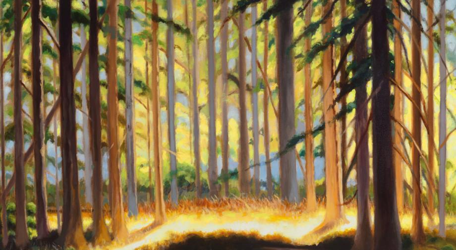 As Spring Spills into Summer